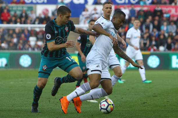 己的足球传 己的足球传